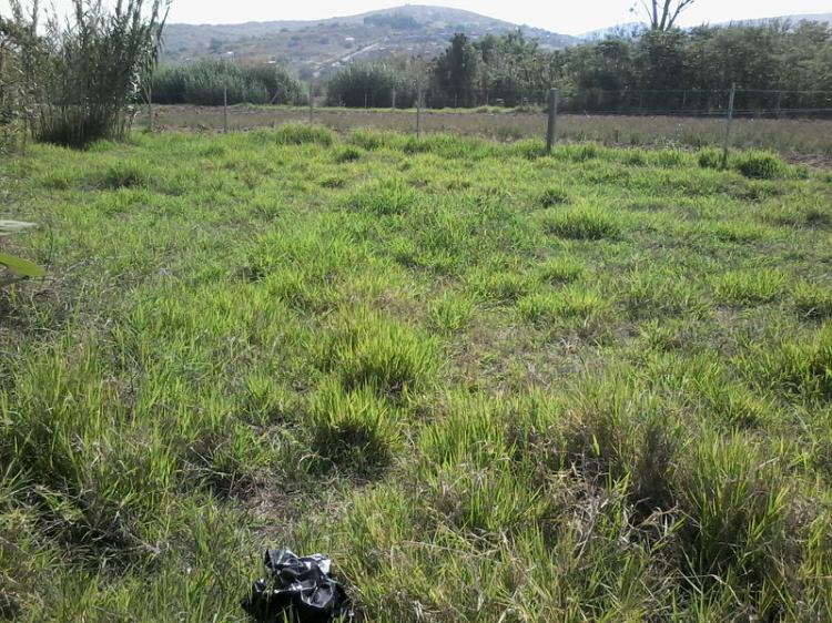 Foto Terreno en Venta en Primera Seccin El Arenal, San Antonio de la Cal, Oaxaca - $ 3.550 - TEV76210 - BienesOnLine