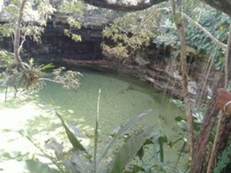 Foto Terreno en Venta en Ek-Balam, Yucatan - 120 hectareas - $ 3.500.000 - TEV240429 - BienesOnLine