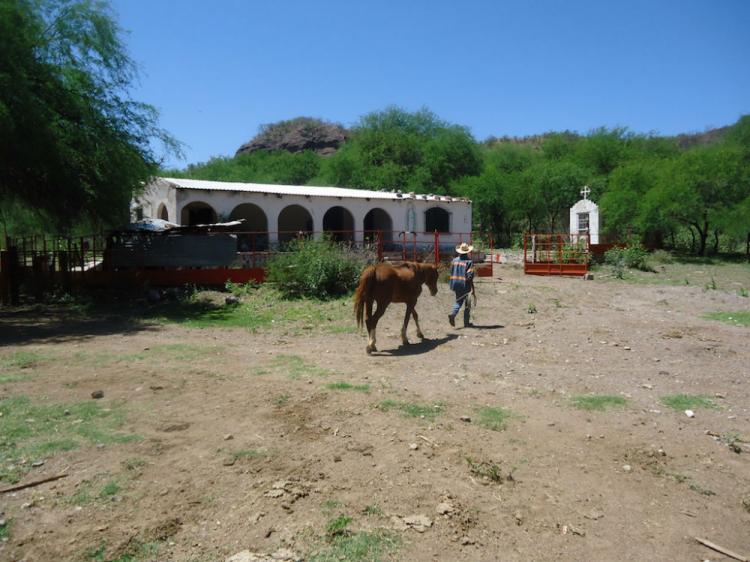 Foto Rancho en Venta en Bacanora, , Sonora - 1339 hectareas - $ 6.000.000 - RAV174739 - BienesOnLine