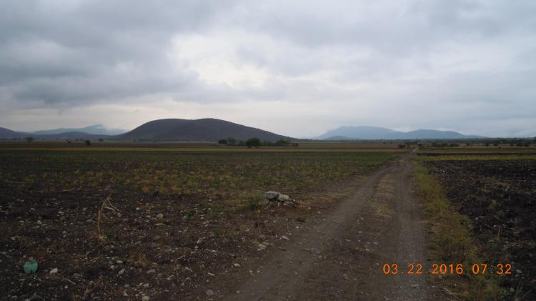 Foto Rancho en Venta en Carrizal de San Juan, Lagunillas, San Luis Potosi - $ 70.000 - RAV217316 - BienesOnLine