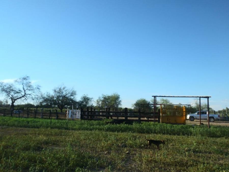 Foto Rancho en Venta en Hermosillo, Sonora - 9 hectareas - $ 2.900.000 - RAV306405 - BienesOnLine