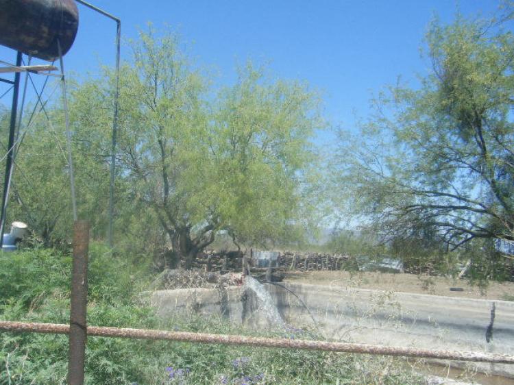 Foto Rancho en Venta en LAS FOTOS DE SATELITE SON DEL 2007,S/SIEMBRAS EN T, Trincheras, Sonora - 5300 hectareas - U$D 1.500.000 - RAV21235 - BienesOnLine