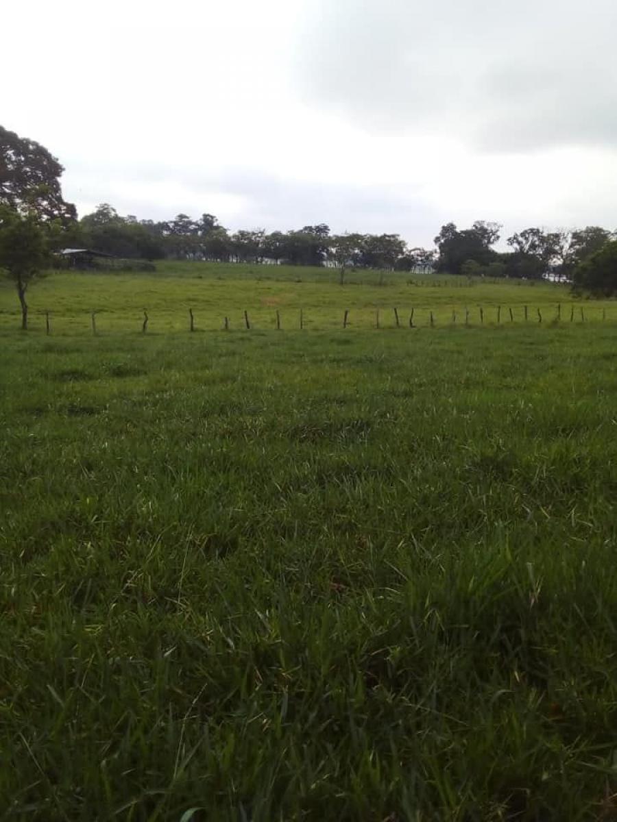 Foto Rancho en Venta en La Ceibita, Teapa, Tabasco - $ 1.700.000 - RAV329171 - BienesOnLine