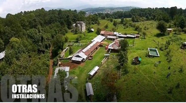 Foto Rancho en Venta en Ptzcuaro, Michoacan de Ocampo - 237 hectareas - $ 65.000.000 - RAV197575 - BienesOnLine