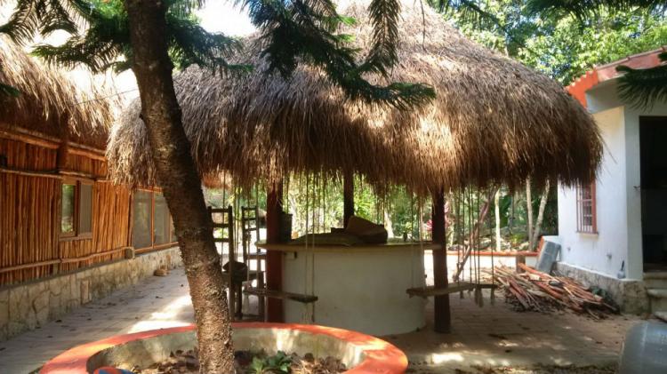 Foto Rancho en Venta en tulum, , Quintana Roo - $ 3.000.000 - RAV172030 - BienesOnLine