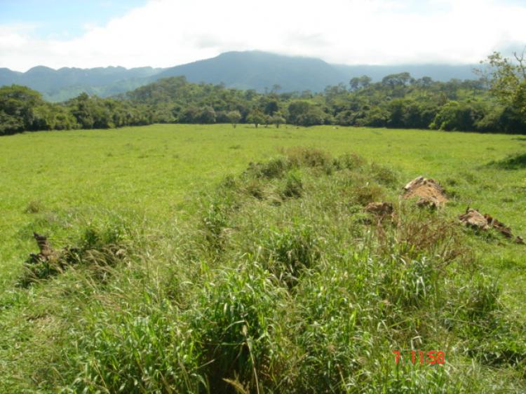 Foto Rancho en Venta en Ocozocoautla de Espinosa, Chiapas - 100 hectareas - $ 17.000.000 - RAV15577 - BienesOnLine