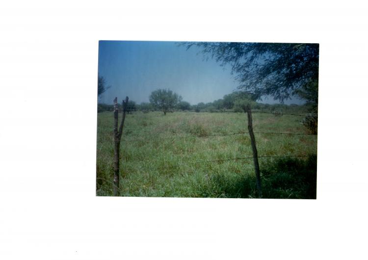 Foto Rancho en Renta en San Carlos, Tamaulipas - 300 hectareas - $ 220 - RAR24756 - BienesOnLine