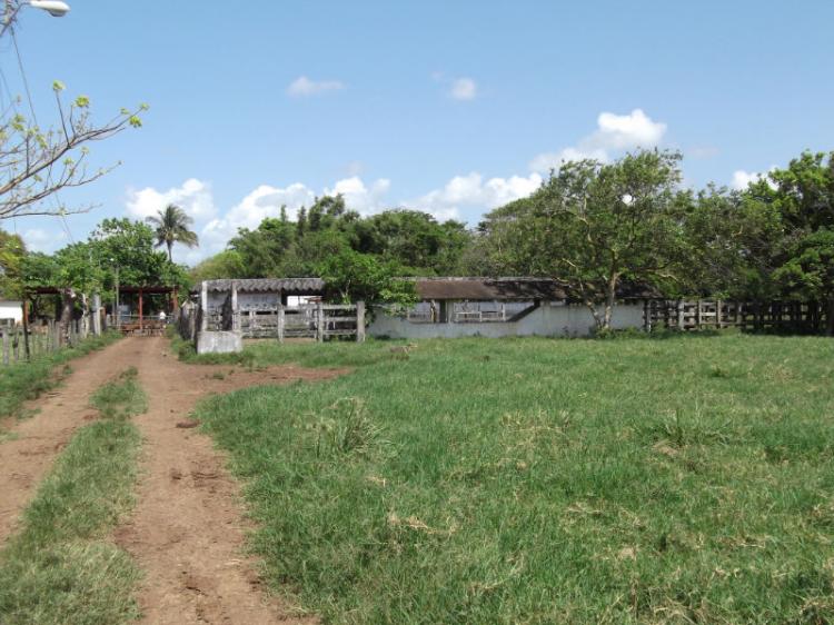 Foto Rancho en Venta en Angel R. Cabada, Veracruz - 285 hectareas - RAV55433 - BienesOnLine