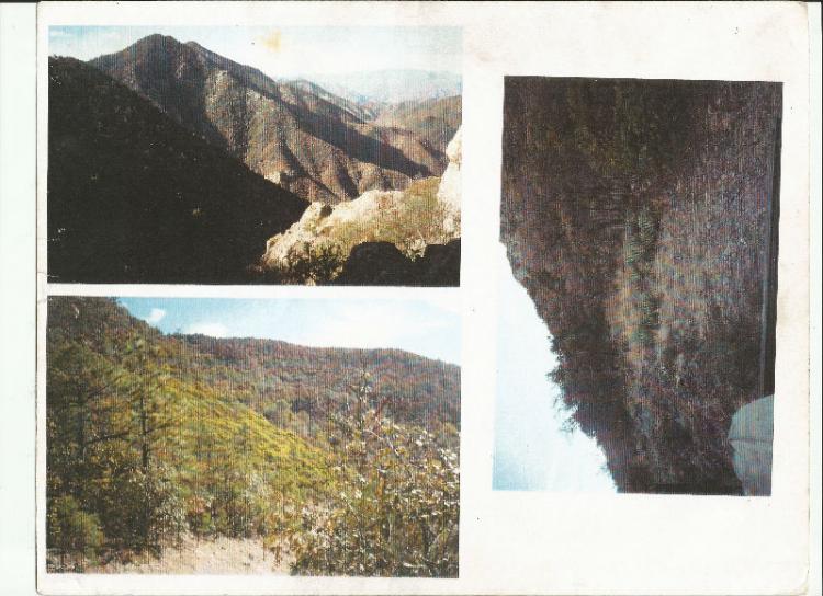 Foto Rancho en Venta en Huachinera, Sonora - 571 hectareas - U$D 170.000 - RAV69972 - BienesOnLine