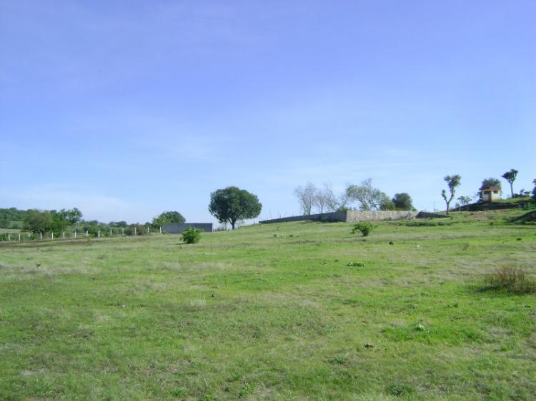 Foto Rancho en Venta en Puebla, Puebla - $ 3.051.489 - RAV78201 - BienesOnLine