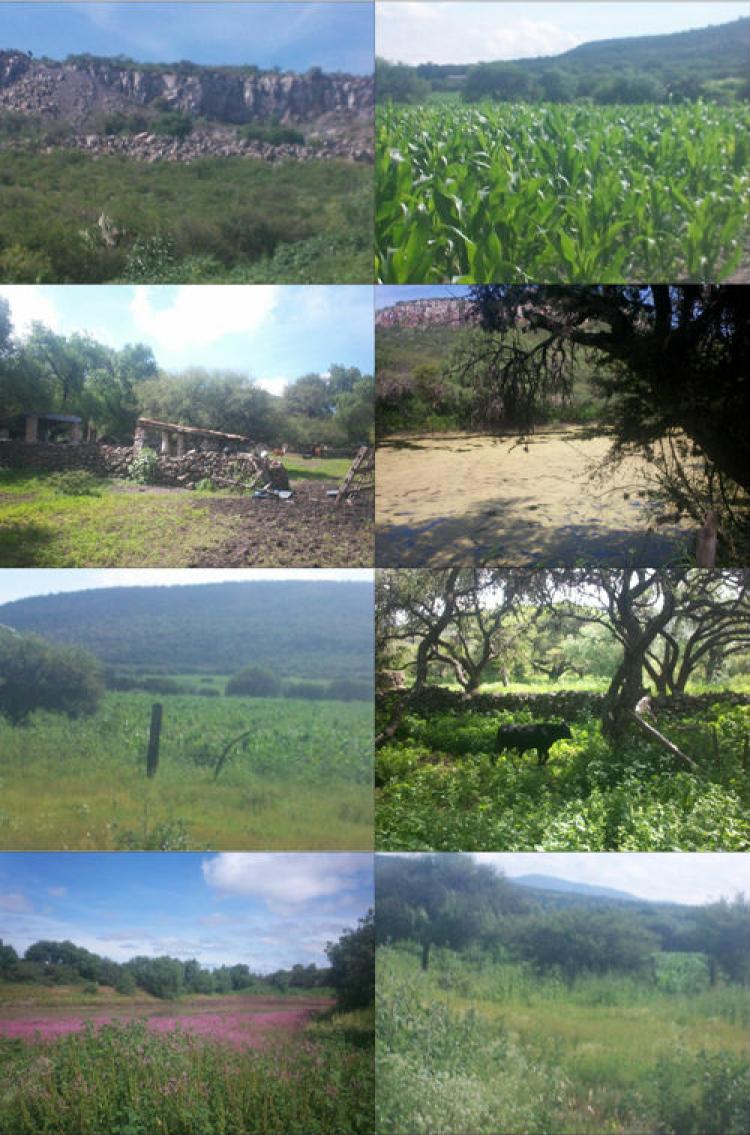 Foto Rancho en Venta en San Jos Iturbide, Guanajuato - 1000 hectareas - $ 70.000.000 - RAV61709 - BienesOnLine
