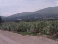 Rancho en Venta en  San Martín de las Pirámides