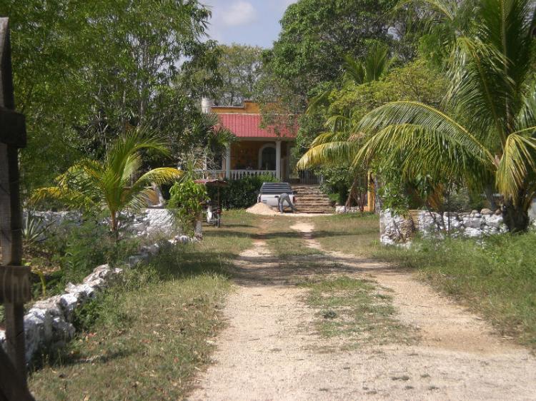 Foto Rancho en Venta en Municipio de Sey, Sey, Yucatan - 11 hectareas - $ 2.800.000 - RAV59130 - BienesOnLine