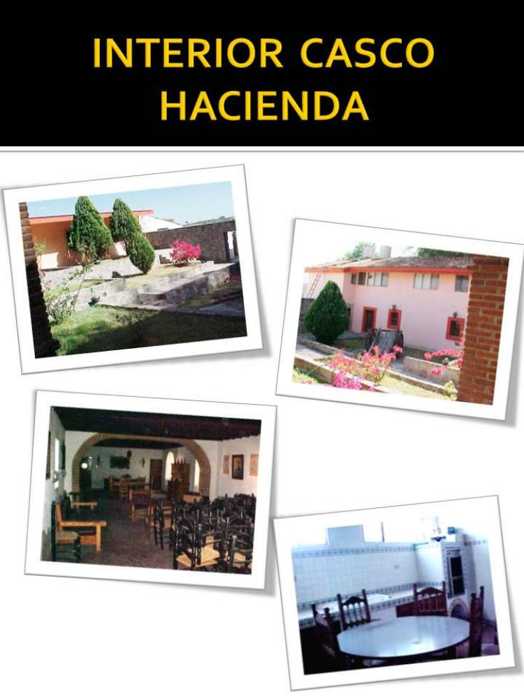 Foto Rancho en Venta en Tecali de Herrera, Puebla - 80 hectareas - $ 28.000.000 - RAV61482 - BienesOnLine