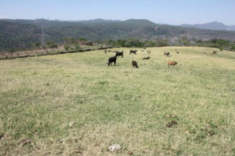 Foto Rancho en Venta en Valle de Bravo, Mexico - RAV62667 - BienesOnLine