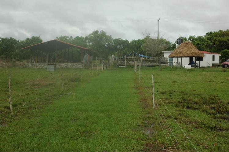Foto Rancho en Venta en Hueytepec, Veracruz - 15 hectareas - $ 2.500.000 - RAV32455 - BienesOnLine