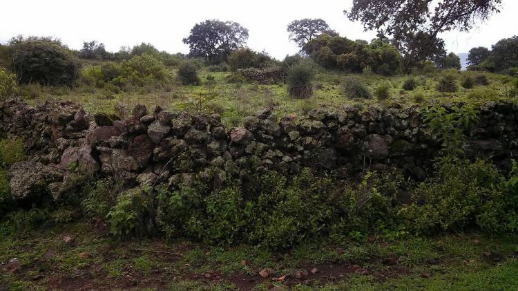 Foto Terreno en Venta en capula, Morelia, Michoacan de Ocampo - TEV104012 - BienesOnLine