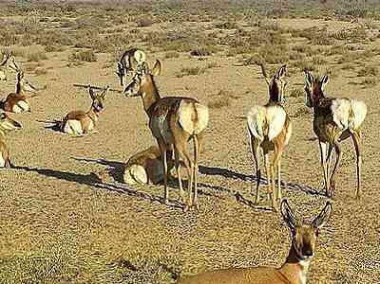 Foto Rancho en Venta en Baha Asuncin, Baja California Sur - 70 hectareas - $ 1.500.000 - RAV179572 - BienesOnLine