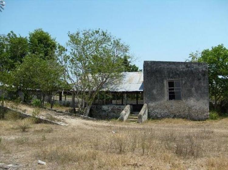 Foto Rancho en Venta en Tunks, Yucatan - 551 hectareas - $ 2.800.000 - RAV127729 - BienesOnLine