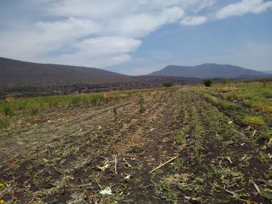 Terreno en Venta en San Luis Potosí, San Luis Potosi - 55 hectareas ...