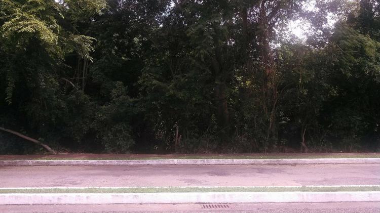 Foto Terreno en Venta en ixtapa, Zihuatanejo, Guerrero - TEV104052 - BienesOnLine