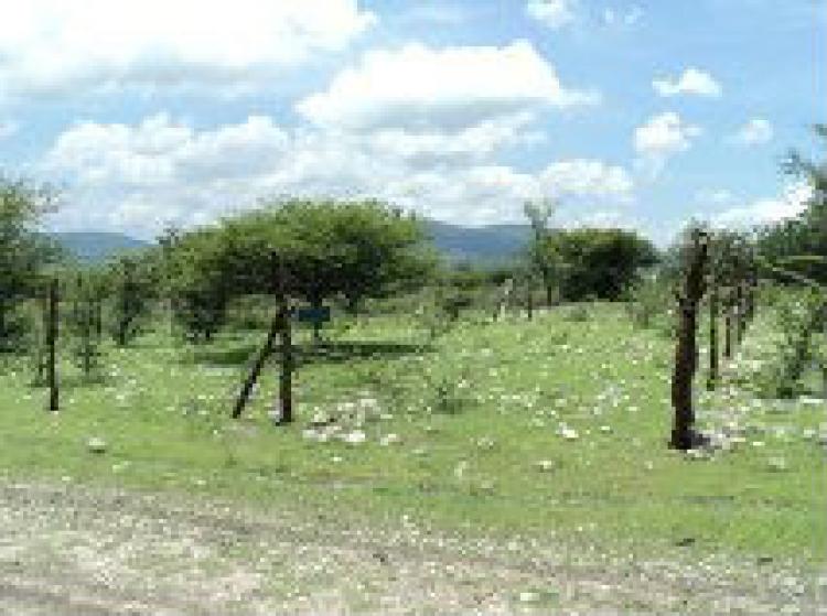 Foto Terreno en Venta en fortin valle del sol, barranca honda, Tlaltizapn, Morelos - $ 65.000 - TEV129154 - BienesOnLine