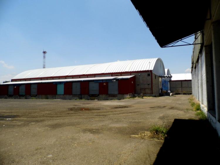 Foto Bodega en Renta en Irapuato, Guanajuato - $ 45 - BOR206937 - BienesOnLine