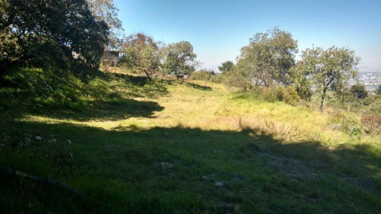 Foto Terreno en Renta en SAN MIGUEL XICALCO, Tlalpan, Distrito Federal - $ 80 - TER221826 - BienesOnLine