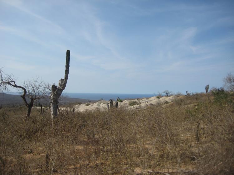 Foto Terreno en Venta en Rolling Hills Estates, Cabo San Lucas, Baja California Sur - U$D 48.000 - TEV171217 - BienesOnLine