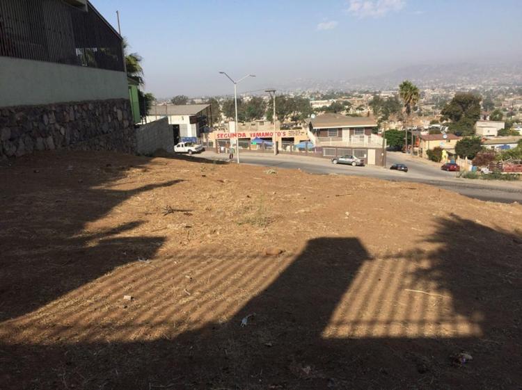 Foto Terreno en Renta en Marquez de leon, Ensenada, Baja California - $ 8.000 - TER223996 - BienesOnLine