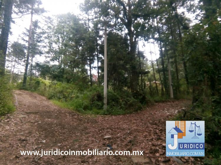 Foto Terreno en Venta en Atlautla, Mxico, Mexico - $ 975.000 - TEV231059 - BienesOnLine