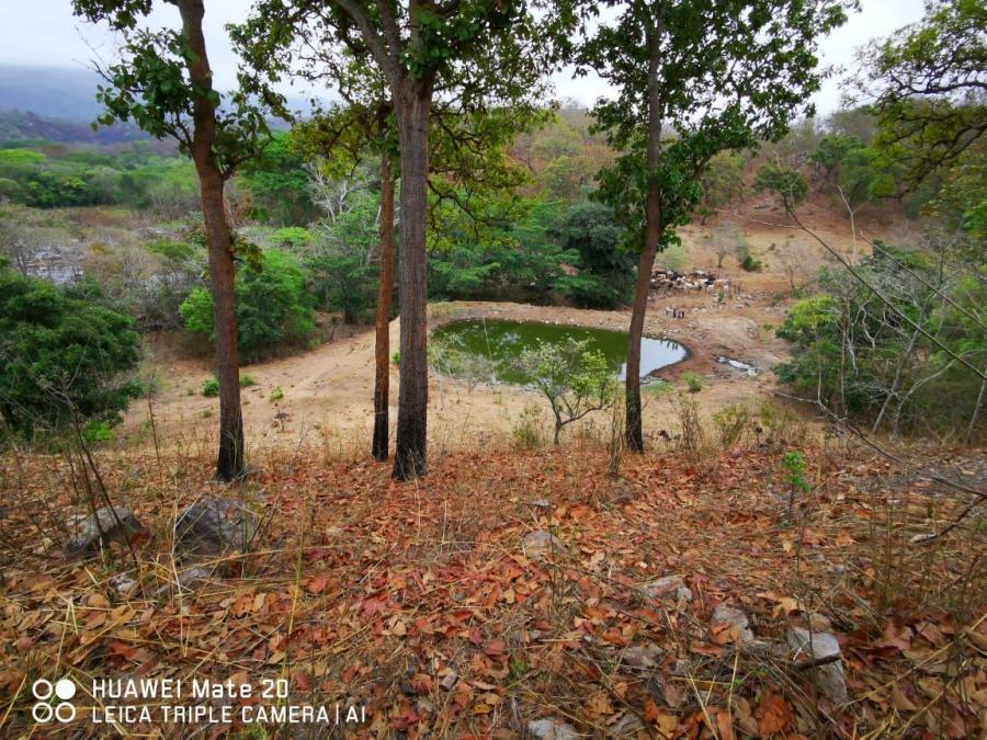 Foto Terreno en Venta en El Tuito, El Tuito, Jalisco - 160 hectareas - $ 8.000.000 - TEV293726 - BienesOnLine