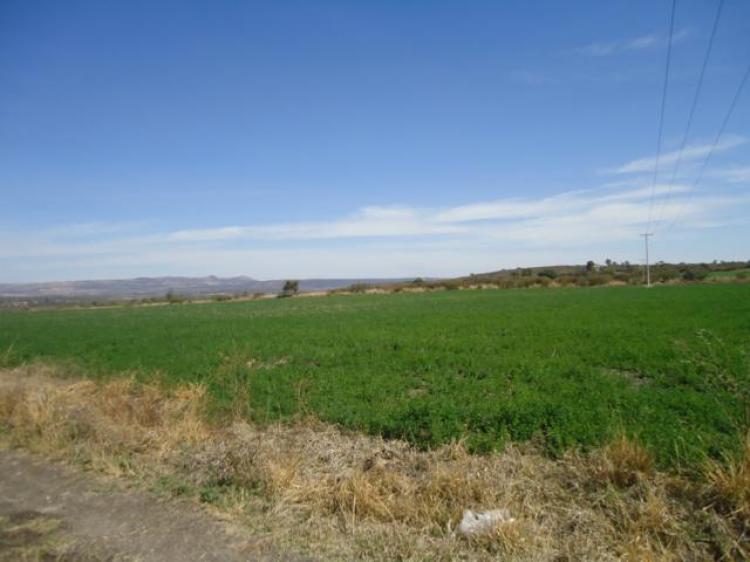 Foto Rancho en Venta en Cuermaro, Guanajuato - $ 16.000.000 - RAV115078 - BienesOnLine