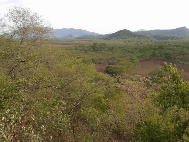 Foto Rancho en Venta en Adolfo Lpez Mateos (El Tamarindo), Sinaloa - $ 45.000 - RAV82607 - BienesOnLine