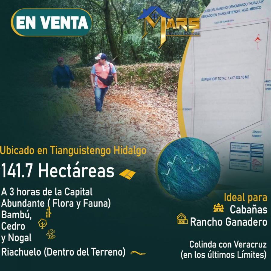 Foto Terreno en Venta en Tianguistengo, Hidalgo - 141 hectareas - $ 25.000.000 - TEV328797 - BienesOnLine