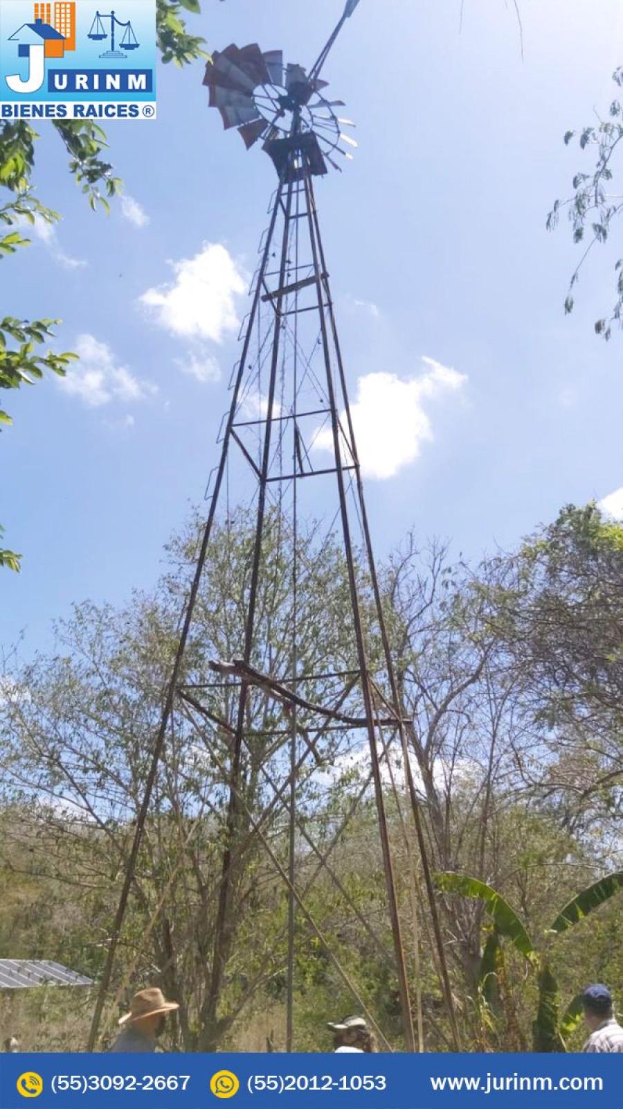 Foto Rancho en Venta en IZAMAL, Izamal, Yucatan - $ 9.000.000 - RAV328403 - BienesOnLine