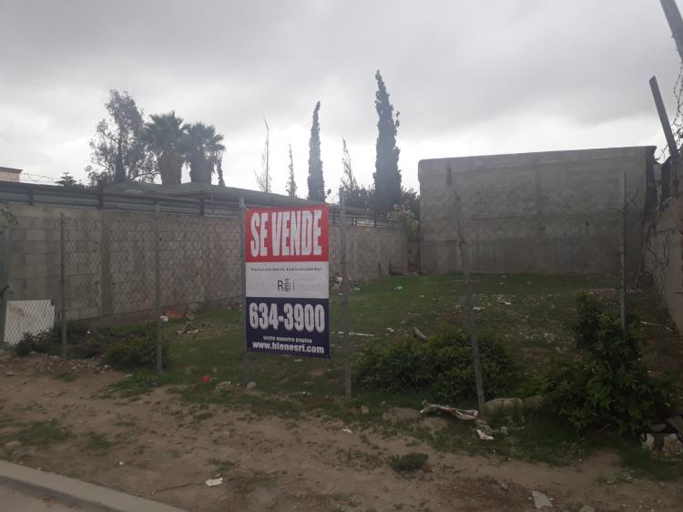 Foto Terreno en Venta en Jardn Dorado, Baja California - U$D 43.000 - TEV229033 - BienesOnLine