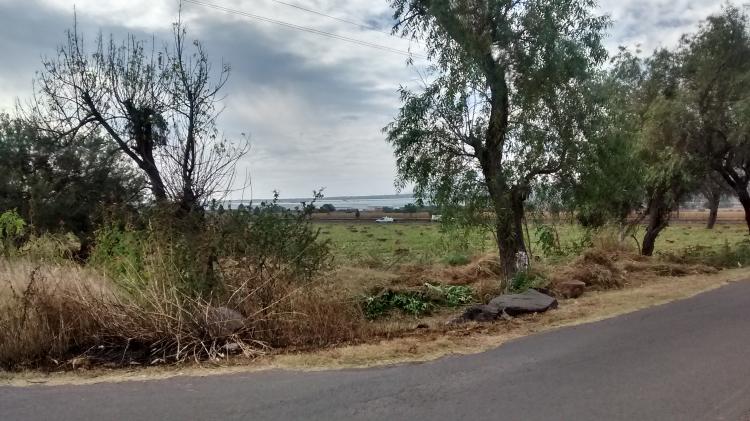 Foto Terreno en Venta en Ojo Seco, Guanajuato - $ 2.790.000 - TEV112083 - BienesOnLine