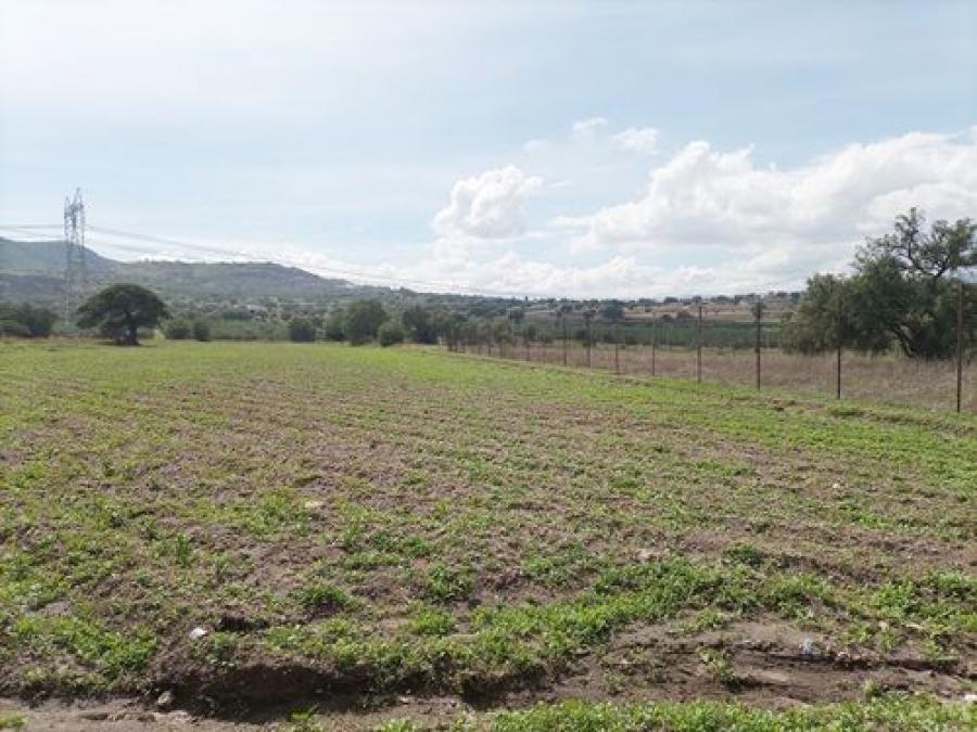 Foto Terreno en Venta en Santiago Atlatongo, Teotihuacn de Arista, Mexico - 1 hectareas - $ 500 - TEV330369 - BienesOnLine