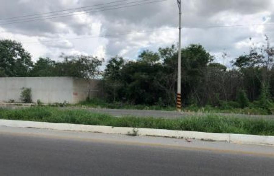 Foto Terreno en Venta en 24 de febrero, Emiliano Zapata, Morelos - $ 935.000 - TEV326076 - BienesOnLine