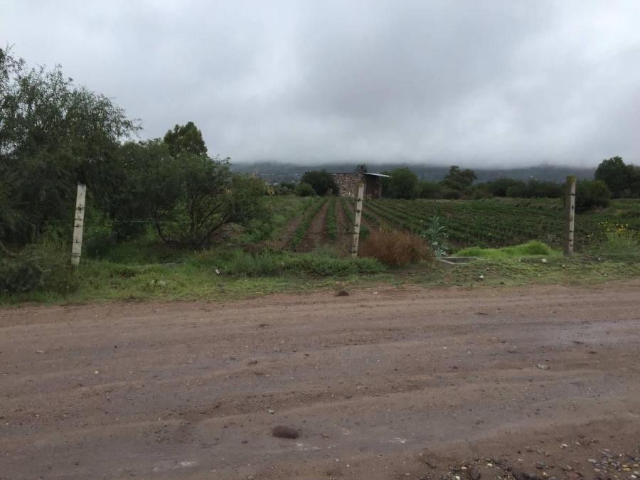 Foto Terreno en Venta en La Estancia Actopan, Hidalgo, Actopan, Hidalgo - $ 310 - TEV338738 - BienesOnLine