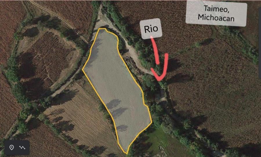 Foto Terreno en Venta en Sianca, Santiago Puriatzícuaro, Michoacan de Ocampo - 4 hectareas - $ 150 - TEV340541 - BienesOnLine