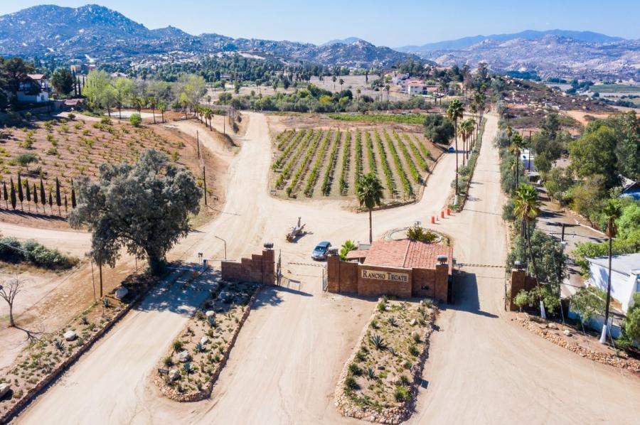 Foto Terreno en Venta en Hind, Tecate, Baja California - U$D 165.000 - TEV346508 - BienesOnLine