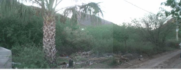 Foto Terreno en Venta en Sector Baha, San Carlos, Nuevo Guaymas,, , Sonora - $ 350.000 - TEV110400 - BienesOnLine