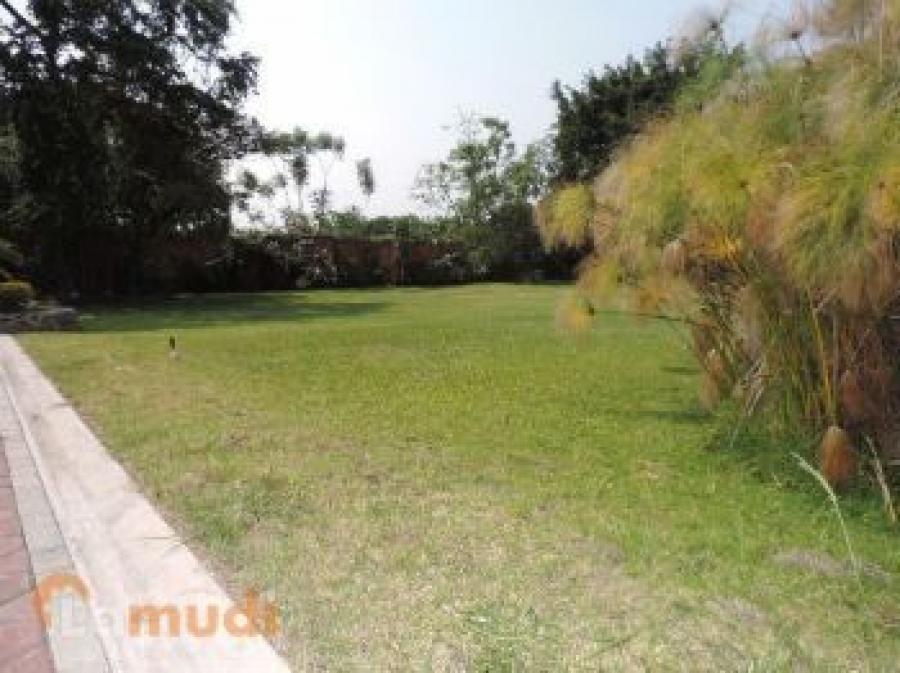 Foto Terreno en Venta en BENITO JUAREZ, Teloloapan, Guerrero - $ 680.000 - TEV342733 - BienesOnLine