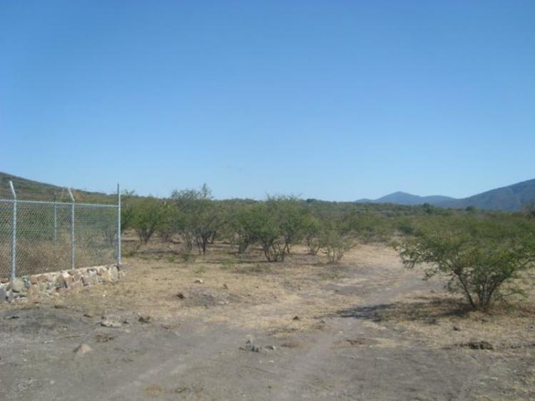 Foto Terreno en Venta en Rancho Miraflores, Juanacatln, Jalisco - $ 70 - TEV33993 - BienesOnLine