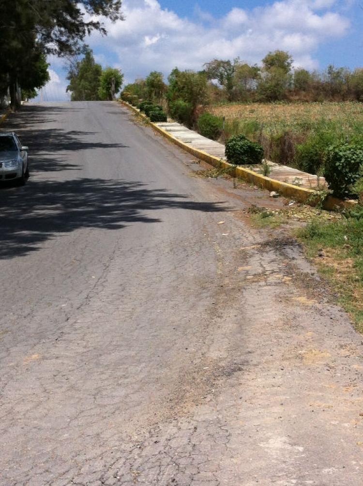 Home in Metric Way