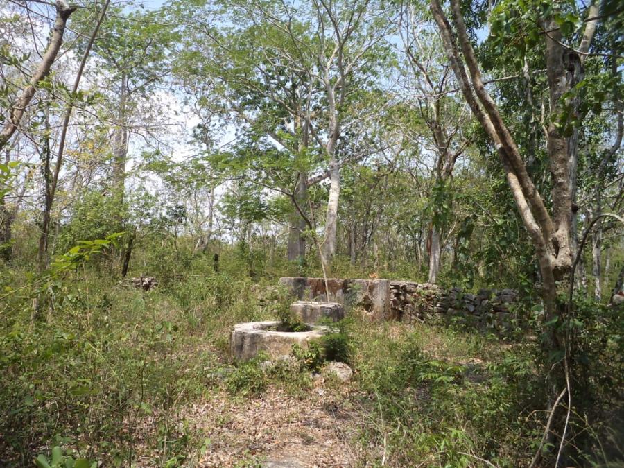 Foto Terreno en Venta en Tikuch, Yucatan - 12 hectareas - $ 1.140.000 - TEV254615 - BienesOnLine
