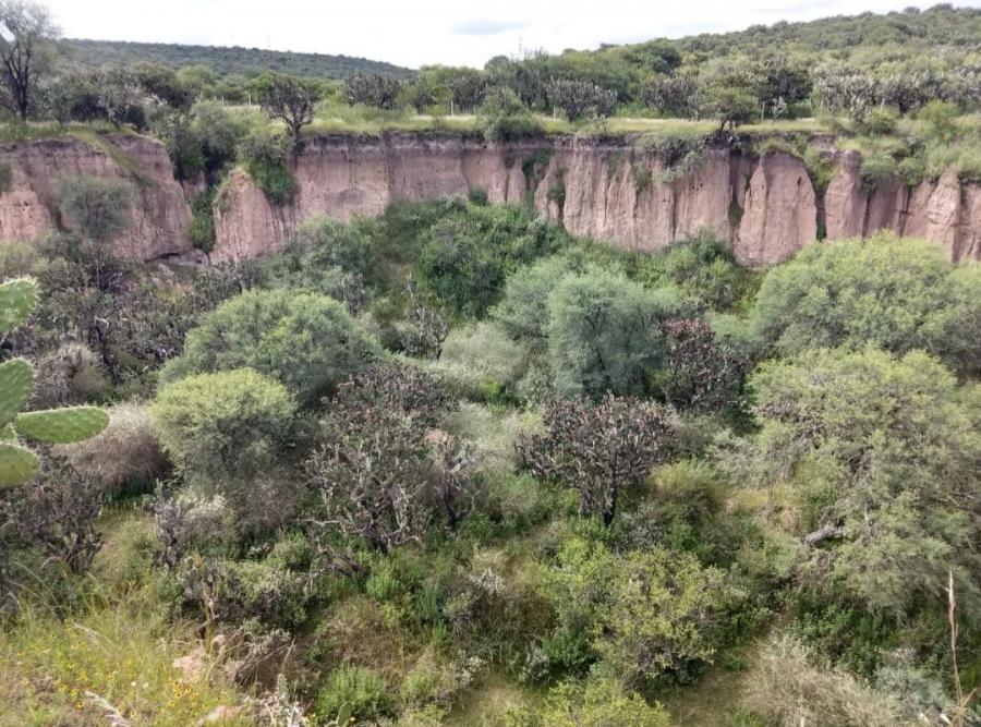 Foto Rancho en Venta en Cotorinas, Cotorina (Coyotes), Aguascalientes - 17 hectareas - $ 4.000.000 - RAV300859 - BienesOnLine