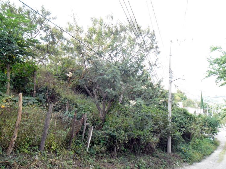 Foto Terreno en Venta en col. 20 de Noviembre, Chilpancingo de los Bravo, Guerrero - $ 500.000 - TEV129186 - BienesOnLine